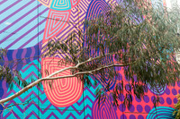RMIT_Sustain_09_09_25-009-_M7A5377