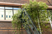RMIT_Sustain_09_09_25-008-_M7A5374