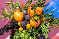 RMIT_Food_Hub_Launch_18.6.26-014-_M7A0644