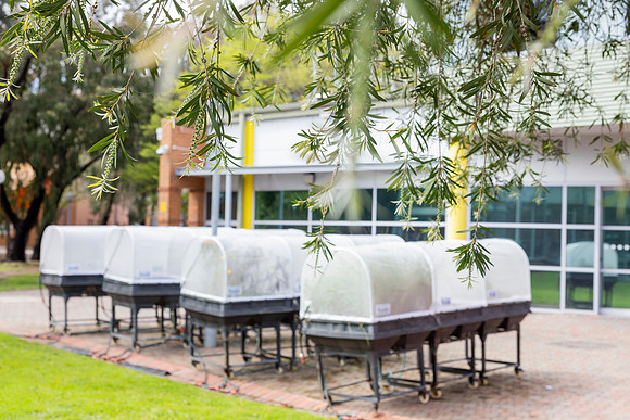 RMIT-Sustain_16.09.26-010-_M7A1334
