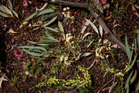 RMIT-Sustain_16.09.26-016-_M7A1416