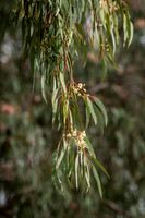 RMIT-Sustain_16.09.26-006-_66A3386