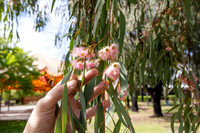 RMIT-Sustain_16.09.26-020-_M7A1440