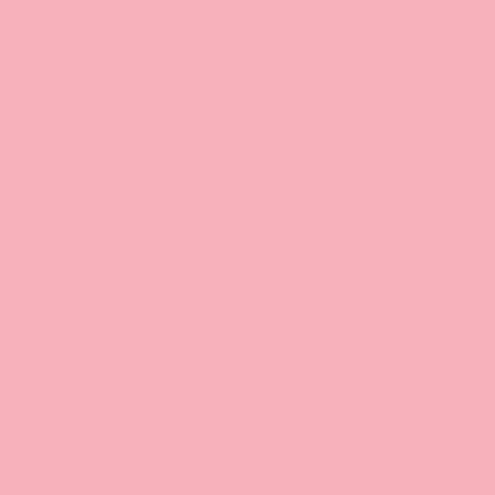 Savage_3_1253_Widetone_Seamless_Background_Paper_45625