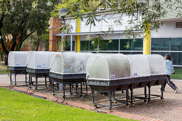 RMIT-Sustain_16.09.26-012-_M7A1330