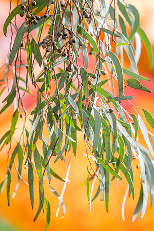 RMIT-Sustain_16.09.26-007-_66A3417