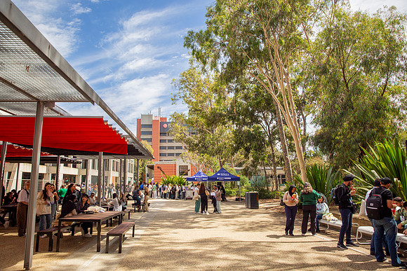 RMIT-26.2.24_Burwood-005-_D3_7429