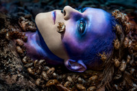 _D3_8246-ff