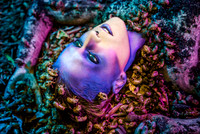 _D3_8209-ff