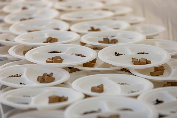 RMIT_OWeek_STEM_26.2.25-016-_35A6286