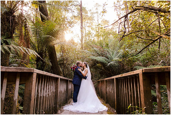 Lyrebird-Falls-Wedding-109