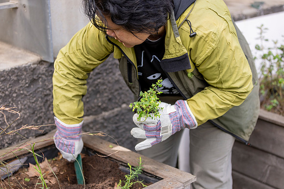 RMIT_Sustainability-19.9.24-016-_M7A2862