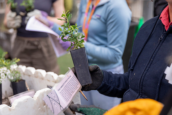RMIT_Sustainability-19.9.24-015-_35A1588