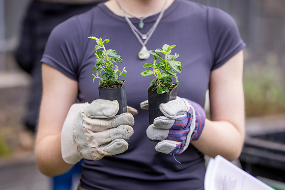 RMIT_Sustainability-19.9.24-011-_M7A2849